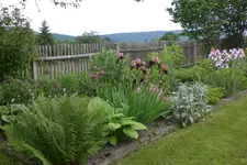 Garten 06 2013 021.webp