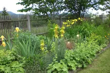 Garten 06 2013 025.webp