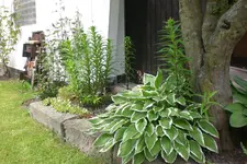 Garten 06 2013 033.webp