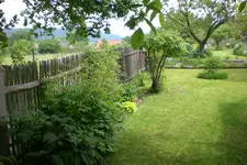 Garten 06 2013 037.webp