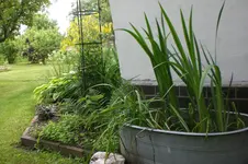 Garten 06 2013 039.webp