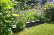 Garten 06 2013 046.webp