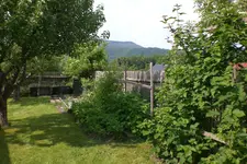 Garten 06 2013 048.webp
