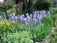 04.webp