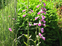 05.webp