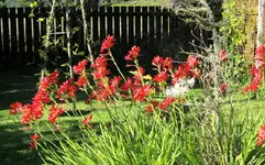 Copy of IMG_9777v.webp