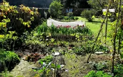 Copy of IMG_9782v.webp