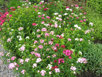 01.webp