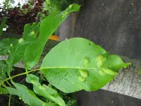 IMG_4388-1600.webp