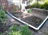 Gemüsebeet 2013-06-09.webp
