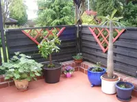 Terrasse 9.6.2013.webp