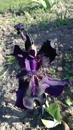 WP_20130603_003.webp