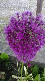 WP_20130603_004.webp