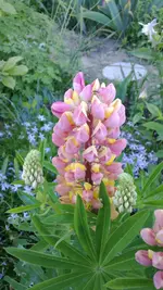 WP_20130603_006.webp