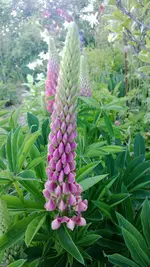 WP_20130603_007.webp