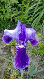WP_20130603_010.webp
