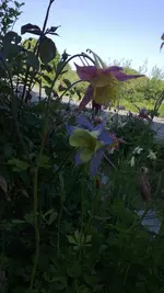 WP_20130603_011.webp
