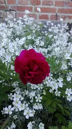 WP_20130603_013.webp