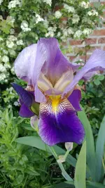 WP_20130603_014.webp