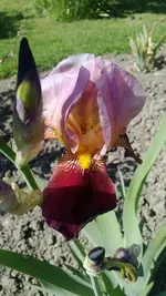 WP_20130609_001.webp