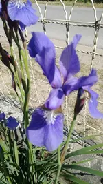 WP_20130609_002.webp