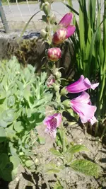 WP_20130609_003.webp