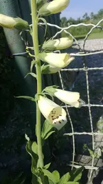 WP_20130609_004.webp