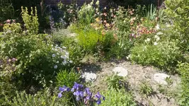 WP_20130609_005.webp