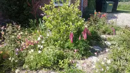 WP_20130609_006.webp