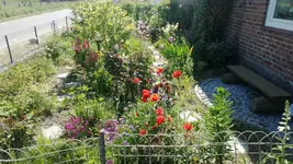 WP_20130609_007.webp