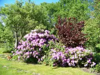 012.webp