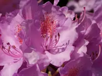 018.webp