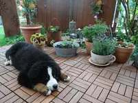 Terrasse.webp