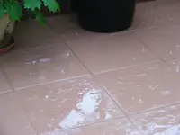 Regen.webp
