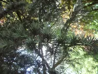 SAM_1116.webp