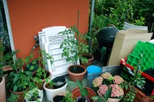 DSC_6114.2.webp