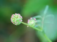 DSC_6095.2.webp