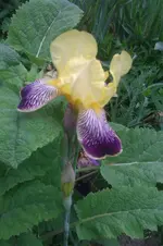 IMAG0767.webp