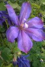 IMAG0764.webp