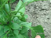 BILD3472.webp