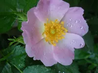 DSCN2136.webp