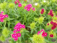 DSCN2147.webp