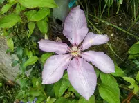 CIMG5654.webp