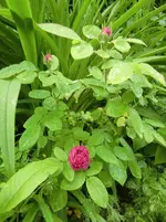 CIMG5649.webp