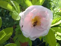 CIMG5685.webp