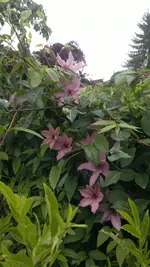 2013-06-09-1715.webp