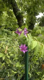 2013-06-09-1719.webp