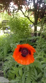 2013-06-07-1691.webp