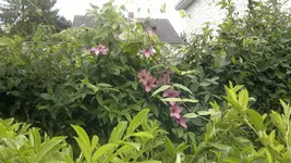 2013-06-09-1718.webp
