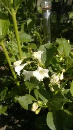 2013-06-06-1633.webp